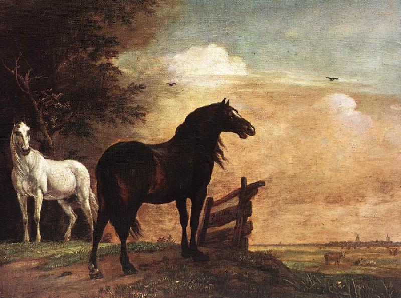 POTTER, Paulus Horses in a Field zg Germany oil painting art